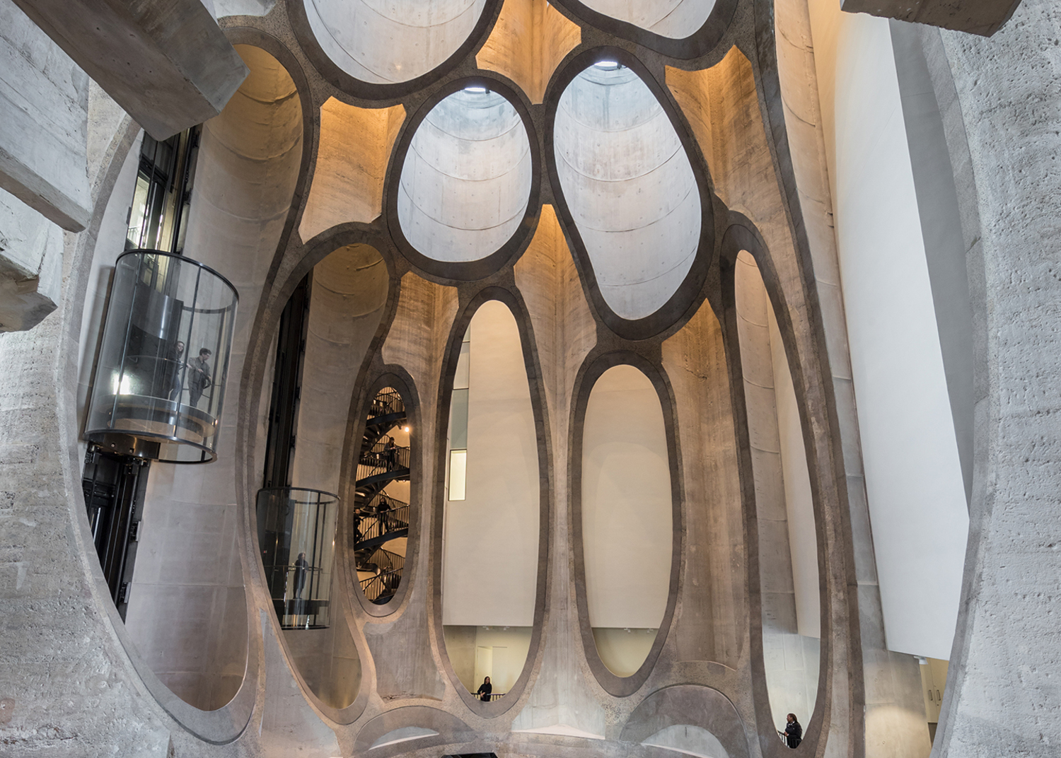 Medium zeitz mocaa tha 1910
