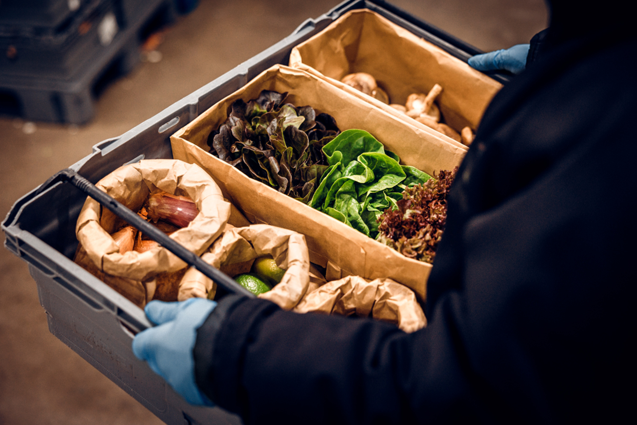 Full sorunda 4038   fond fond