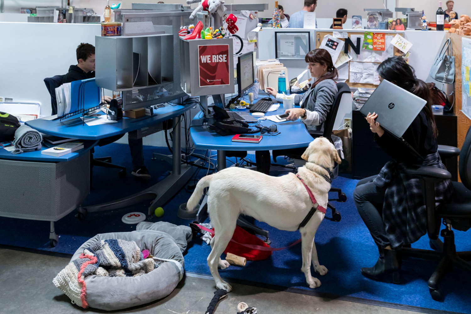 Medium 03 tbwa chiat day la 7806